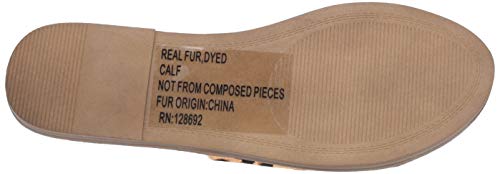 Steve Madden Women's Gracel Flat Sandal Slide