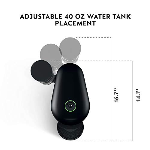 Nespresso Vertuo Plus Coffee and Espresso Maker by Breville, Ink Black with Aeroccino Milk Frother