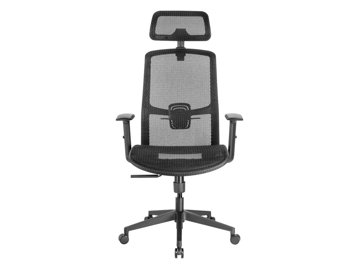 Monoprice WFH Ergonomic Office Chair with Mesh Seat, Adjustable Headrest, Lumbar Support, Armrests, Backrest - Workstream Collection