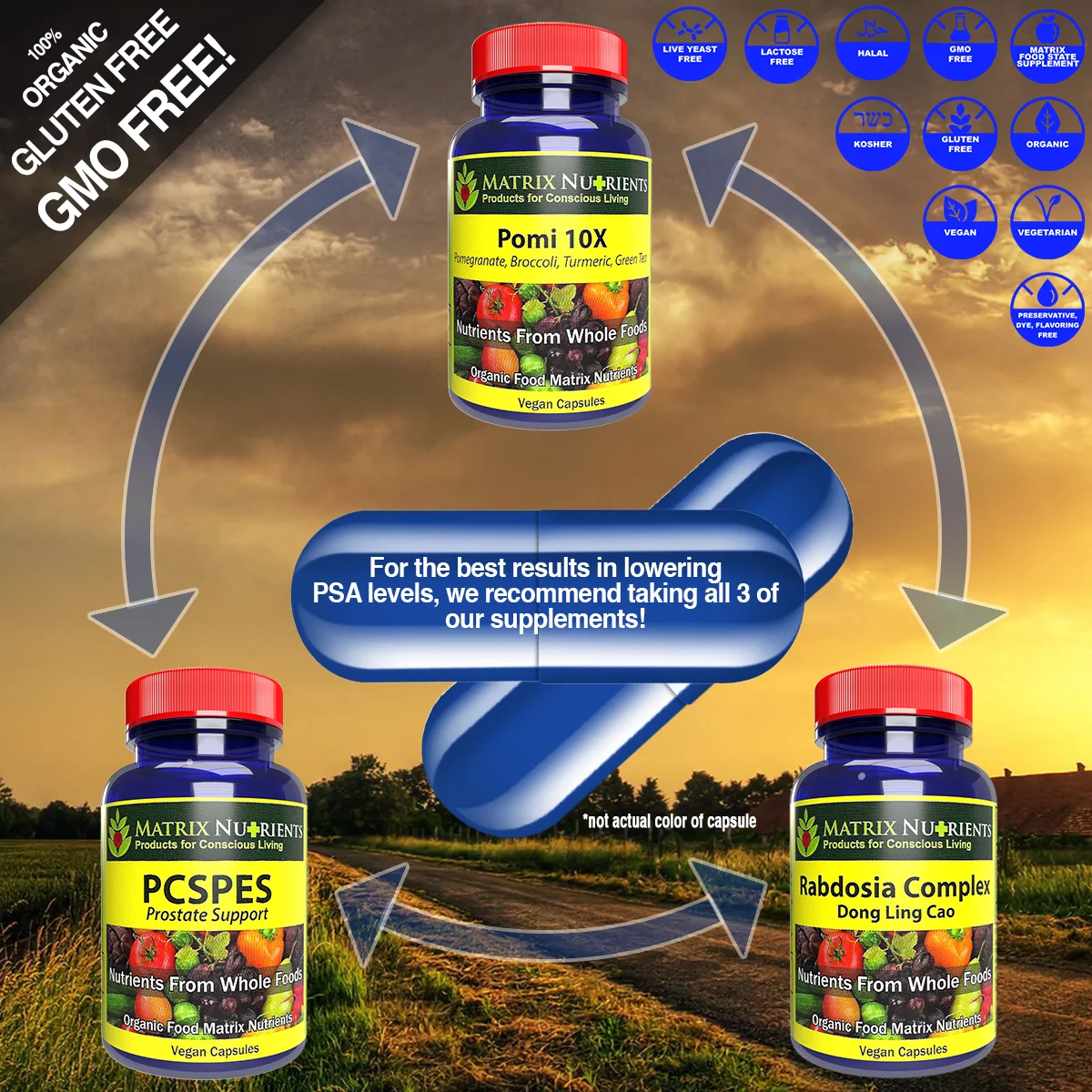 POMI 10X - 10 Times Stronger Than The Competition! - Lower PSA Levels - See Our LAB Results! - 100% Natural Ingredients: Pomegranate, Green Tea, Turmeric, Broccoli - Vegan Capsules (60ct)