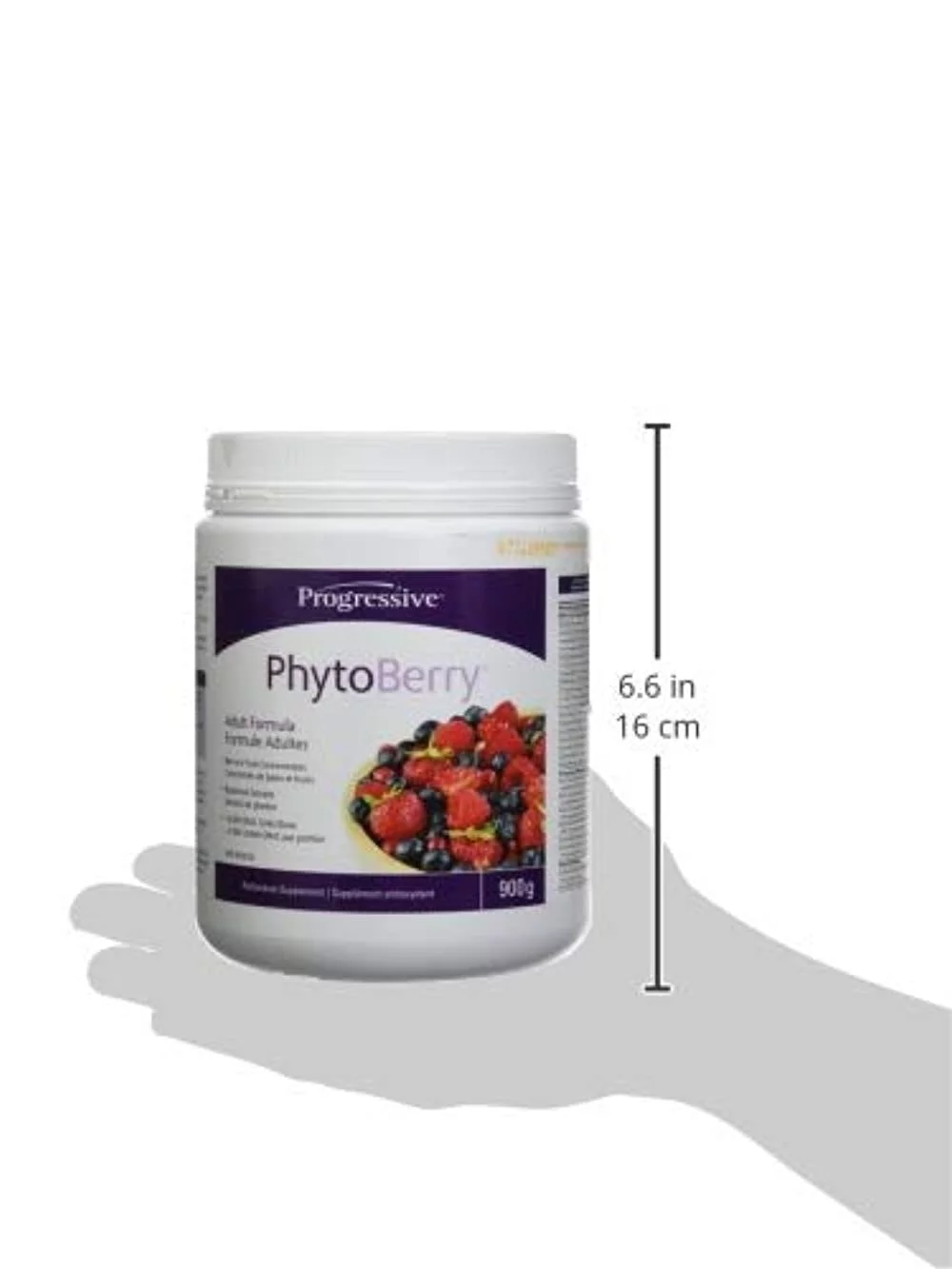 Phytoberry Powder Lg, 32 oz