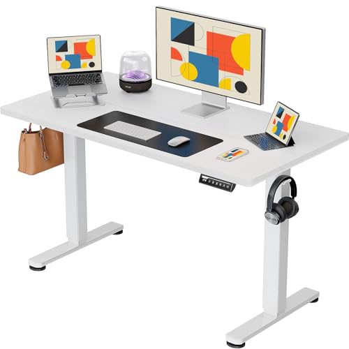 ErGear Height Adjustable Electric Standing Desk, 48 x 24 Inches Sit Stand up Desk, Memory Computer Home Office Desk (Black)