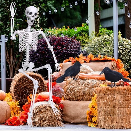 Wocst 6Ft Life Size Skeleton Posable Skeleton with Movable Joints Halloween Full Body Plastic Human Bones with 2PCS Black Crows for Halloween Indoor Outdoor Decor