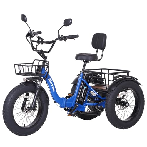 Electric Tricycle for Adults, 750W(Peak 1350W), 48V13Ah Ebike, 20