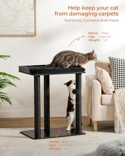 FourFurPets 43.8in 3-Tier Modern Cat Tree Tower Condo, Cat Scratch Posts for Indoor Cats, Big Plate, Two 19.7in Full Sisal Scratching Posts, Rustic Brown