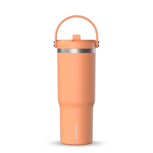 Hydrapeak Nomad 24 oz Tumbler with Handle and Straw Lid, Leakproof, Double Insulated, 24oz Cup Stainless Steel (Blush)
