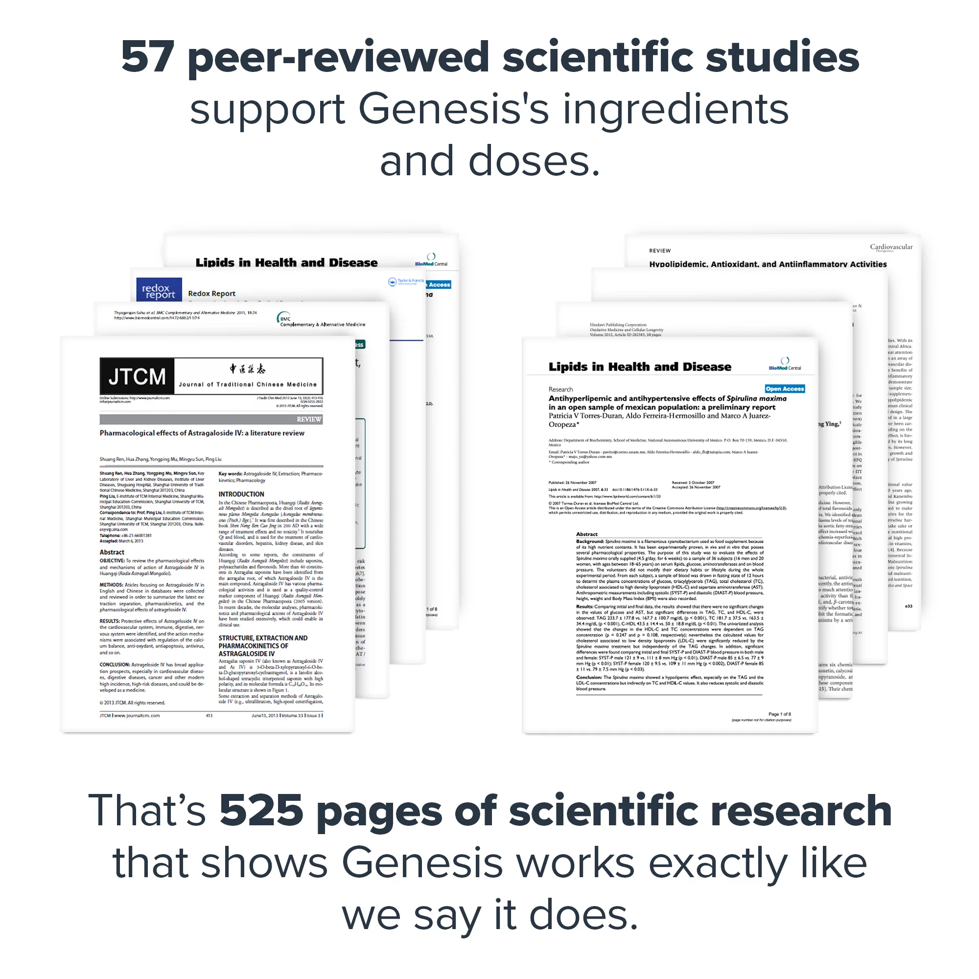 Legion Genesis Green Superfood Powder,  Acai Berry, 30 Servings
