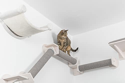 TRIXIE Wall Set 1, Indoor Wall Mounted Cat Scratching Post for Elevated Fun, Climb to Perch, Jumping Platform, Natural