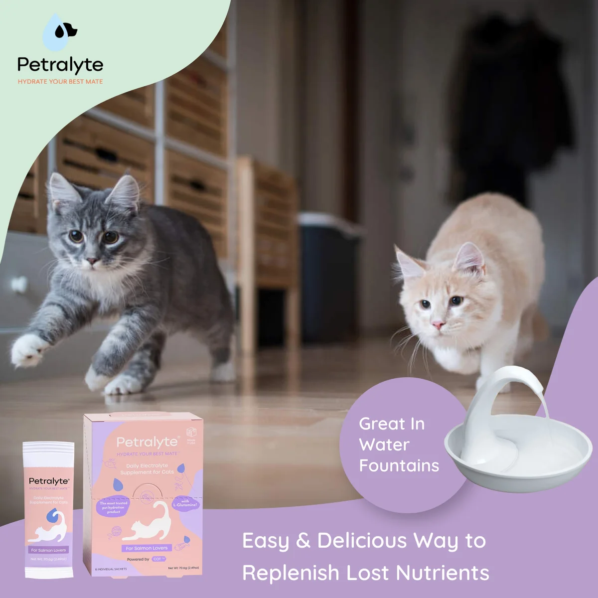 Petralyte Cat Electrolyte and Joint Supplement | for Salmon Lovers | 16 Packets