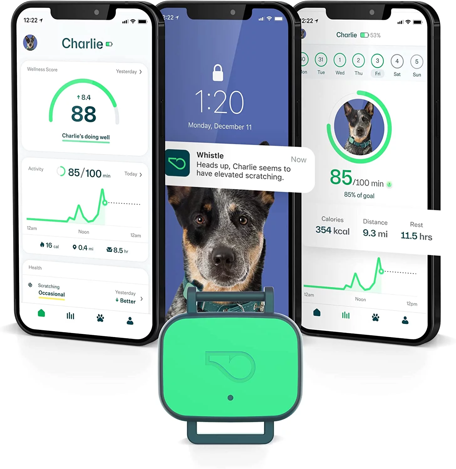 Whistle Health Smart Device | Dog Health and Fitness Tracker