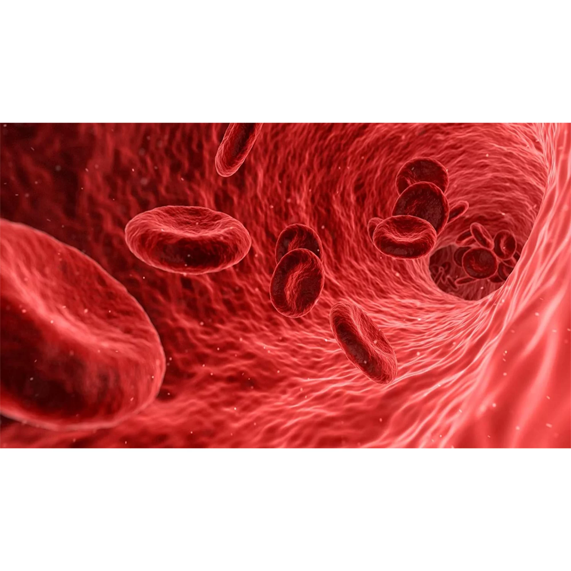 TestoUltra Expand - Nitric Max Boost - Explosive Blood Flow & Muscle Building Support - Increase Circulation - Increase Nutrient Delivery - Explosive Muscle Pumps - Pre workout Nitric Oxide Booster