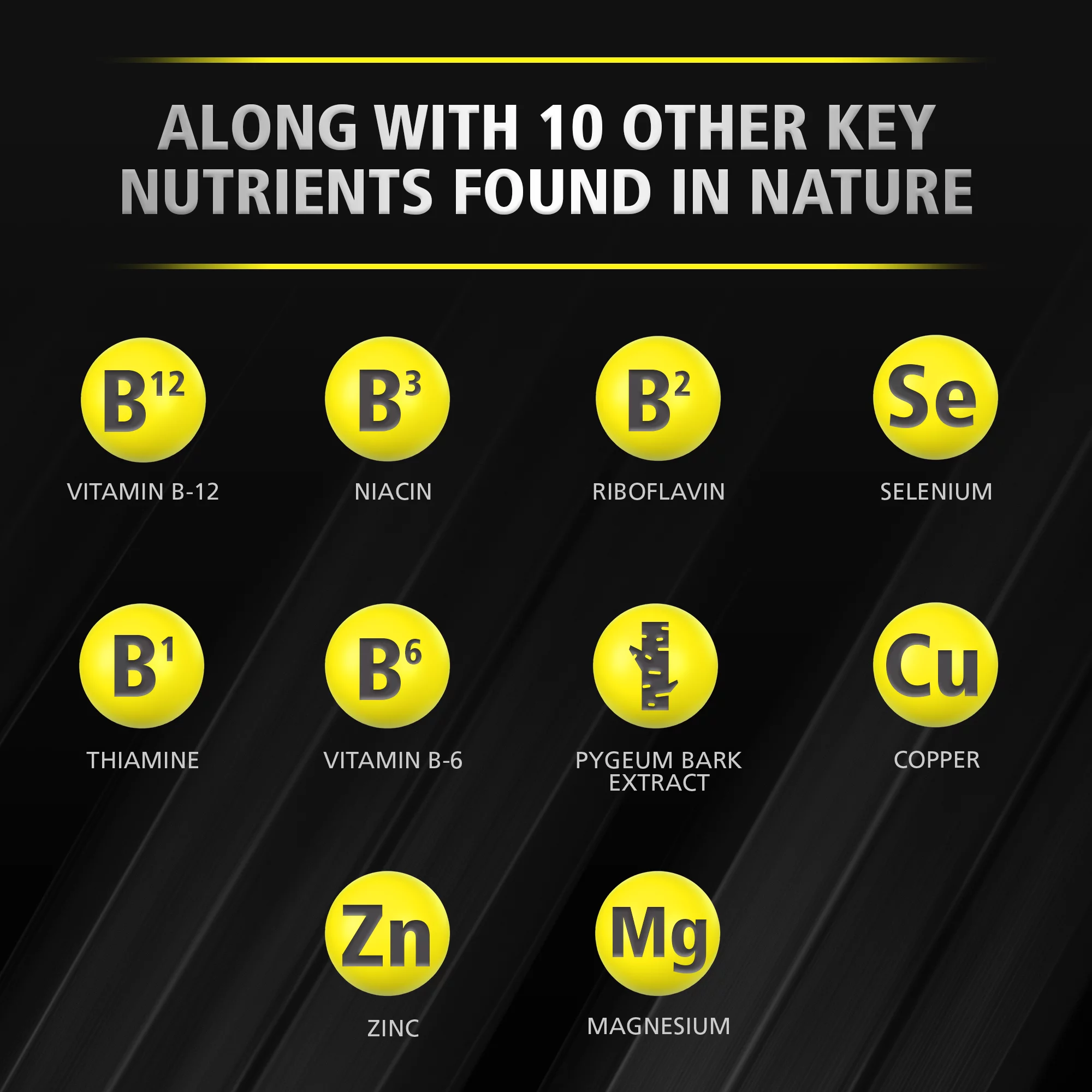 Urinozinc One Per Day, Saw Palmetto Prostate Supplement, Prostate Health, 60 Ct