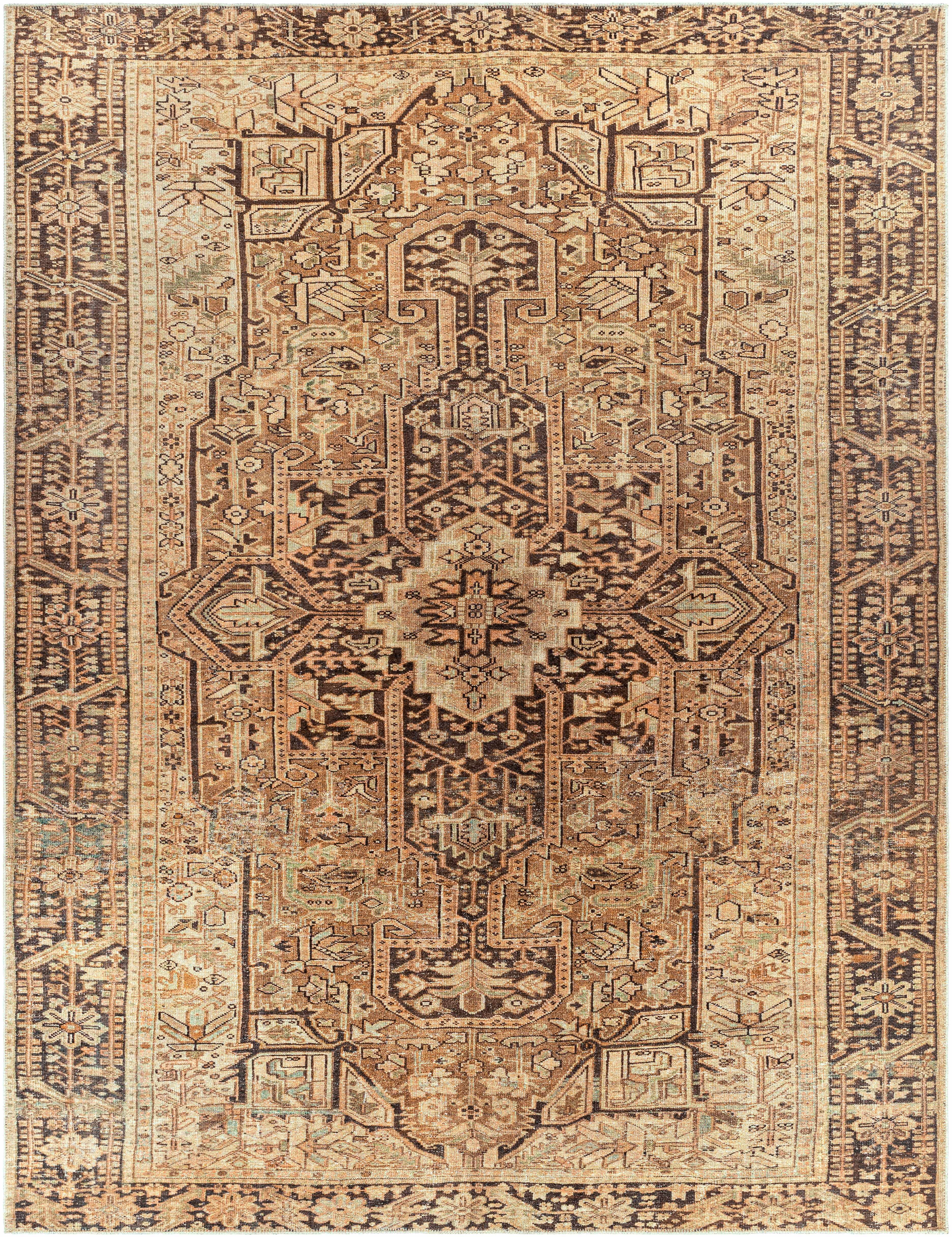 Hauteloom Buliran Living Room, Bedroom Machine Washable Area Rug - Traditional - Brown, Green - 7'10