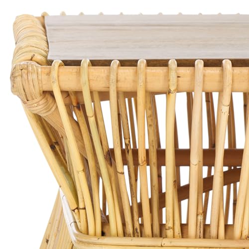 SAFAVIEH Home Collection Gensho Tropical Coastal Boho Natural/Golden Brown Rattan Solid Wood Coffee Table (Fully Assembled)