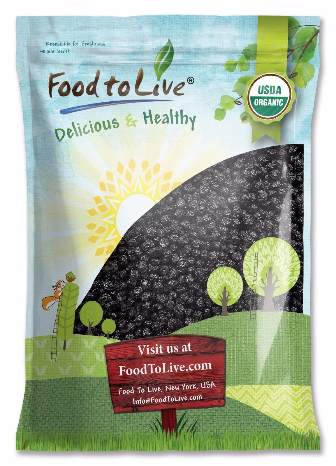 Organic Dried Blueberries, 8 Pounds — Non-GMO, Kosher, Raw, Vegan — by Food to Live
