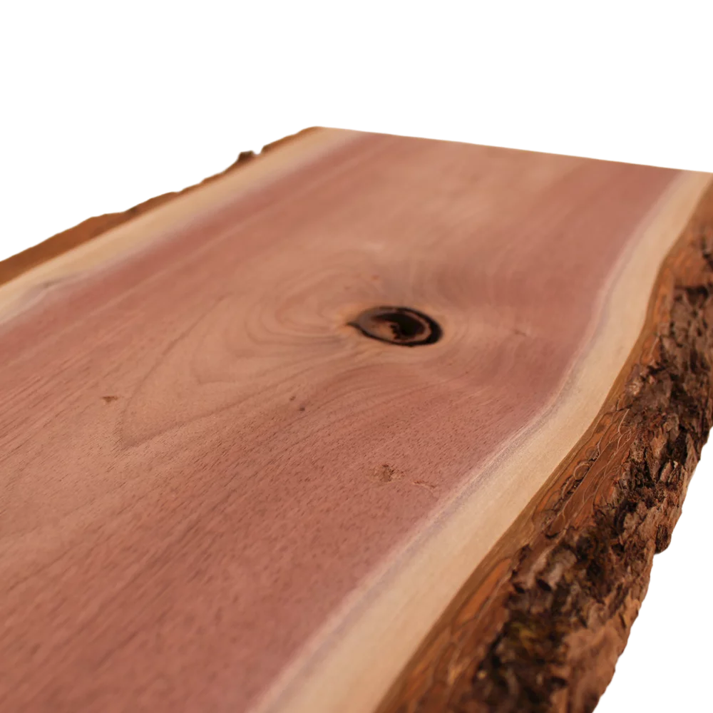 Live Edge Walnut Slab