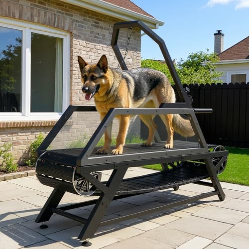 Dog Treadmill for Large & Medium Dogs - Slatmill for Dogs with Adjustable Resistance, Disc Brake & Pedometer, 300 lbs Heavy Duty - Doggy Treadmill Easy to Move, Burns Energy to Keep Pet Healthy
