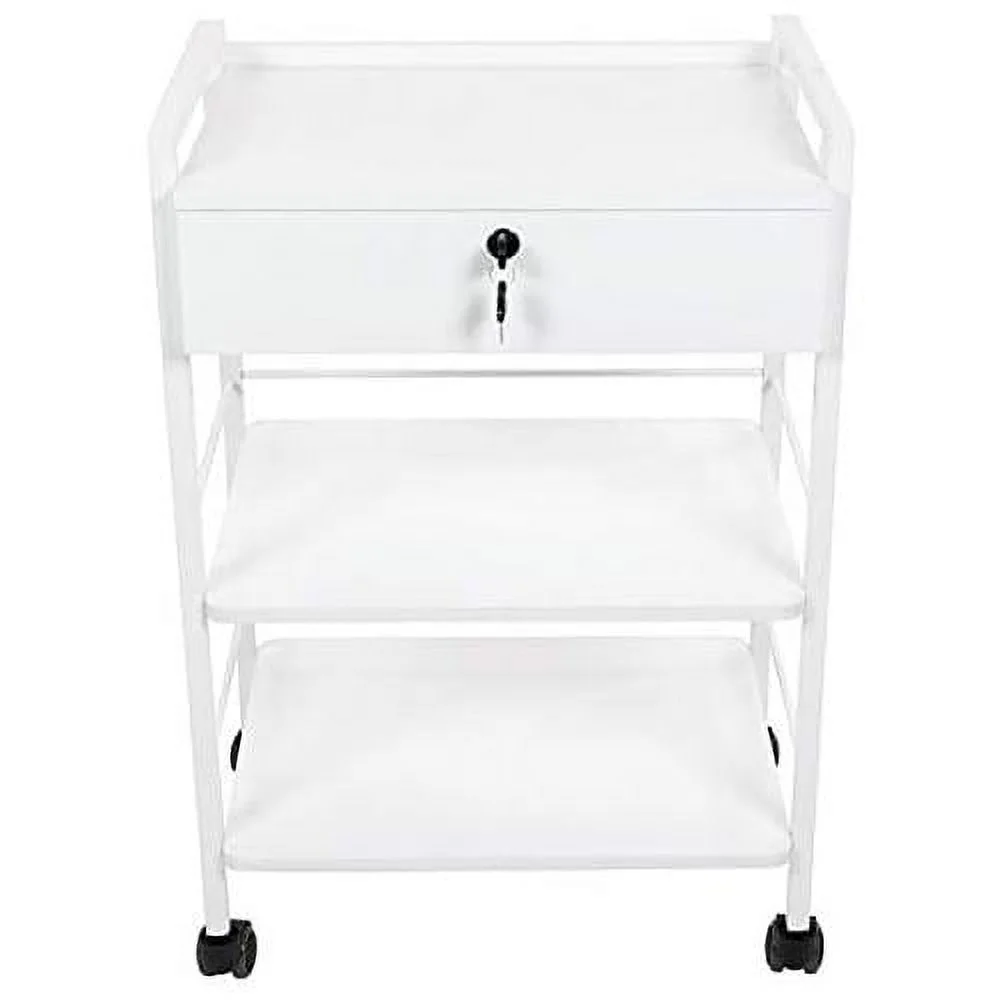 Pro Medical Dental Mobile Utility Cabinet & Cart With Steel Frame And One Drawer