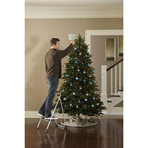 COSCO 2-Step Big Step, Steel Step Stool, Gray