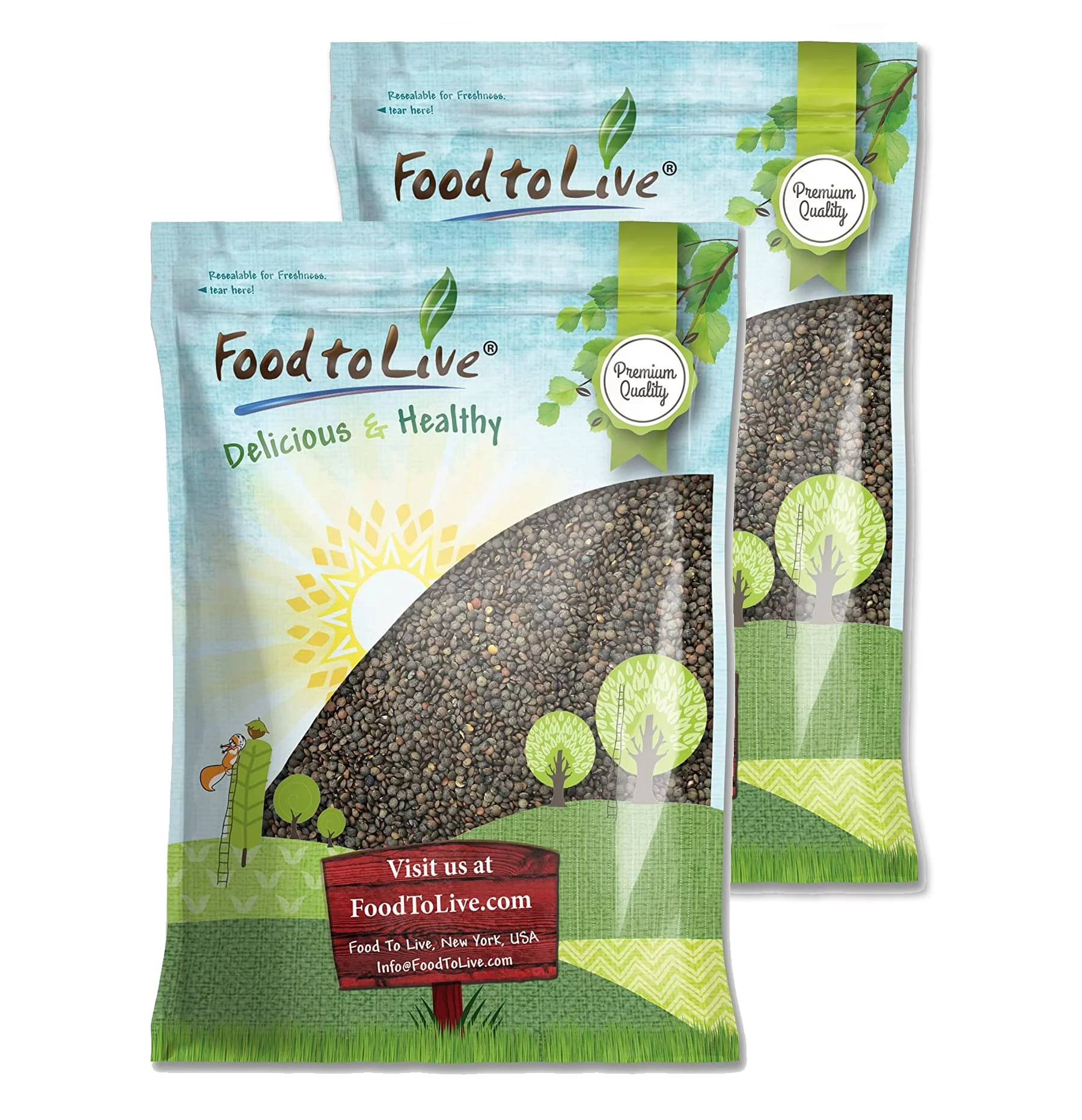 French Green Lentils, 20 Pounds — Sproutable, Kosher, Raw, Vegan — by Food to Live