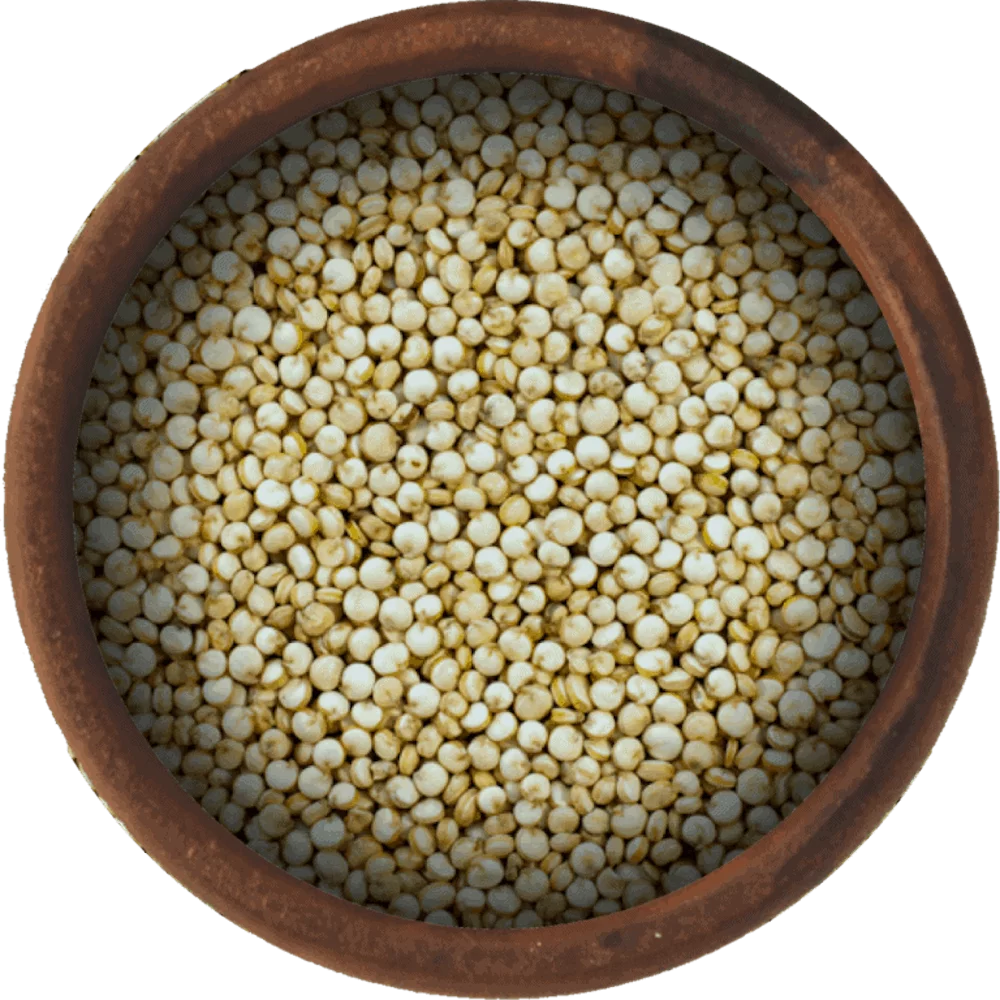 Bulk White Quinoa Seeds 25 Pound Wholesale Box