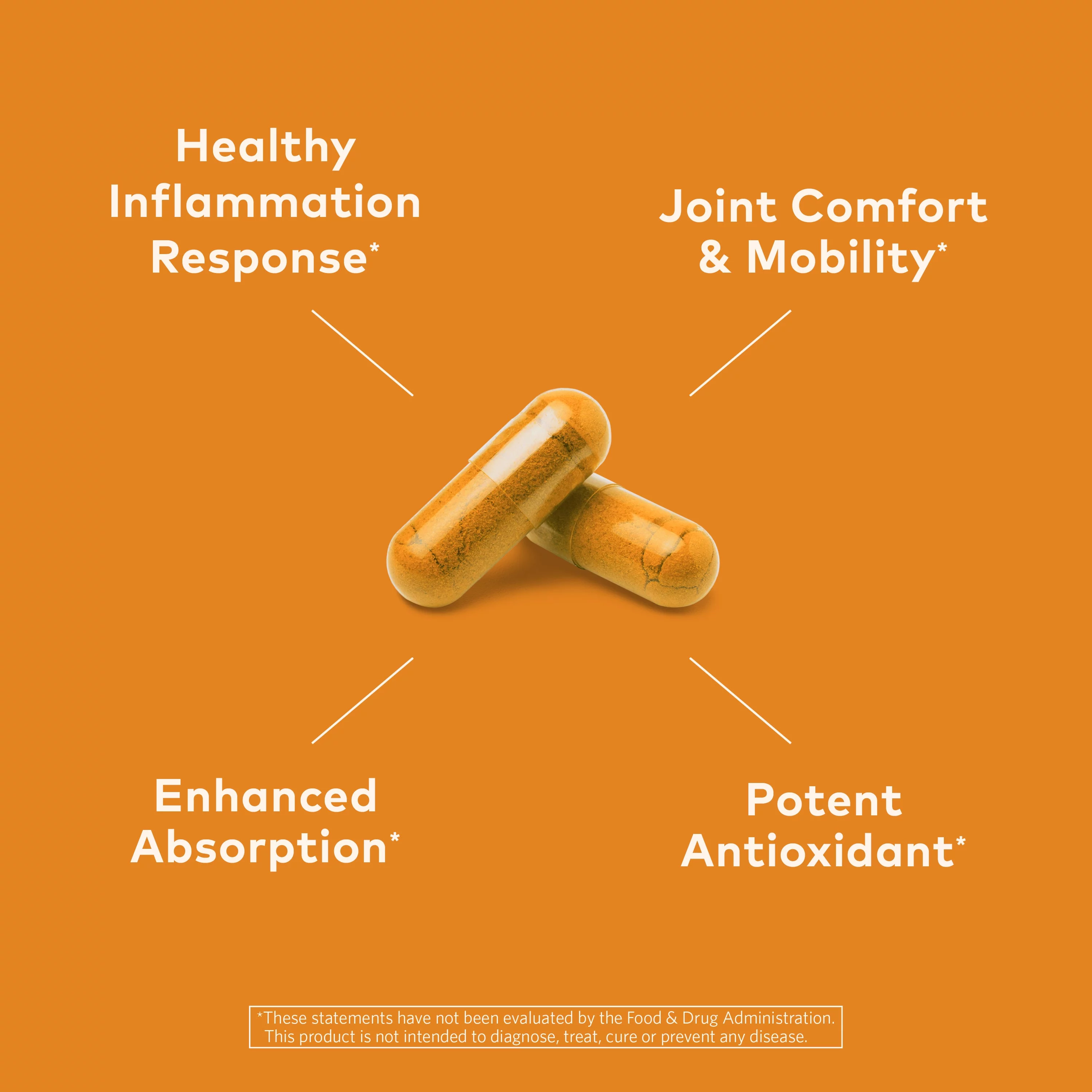 ORGANIC INDIA Turmeric Formula Herbal Supplement