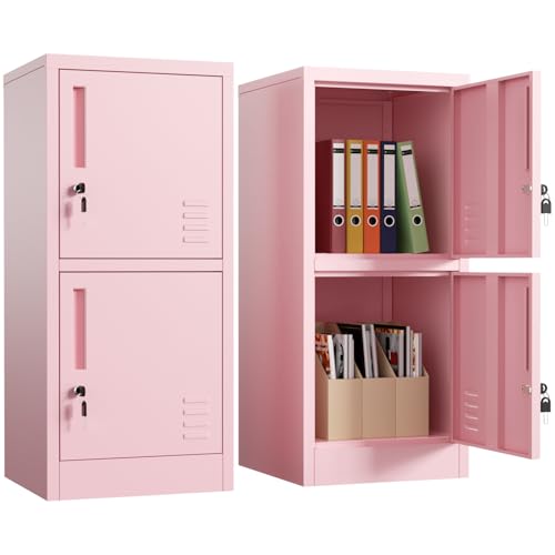 2 Door Metal Locker Storage Cabinet with Locking Doors and Shelves File Cabinet Organizer Suitable for Office, Home, Living Room (Black)