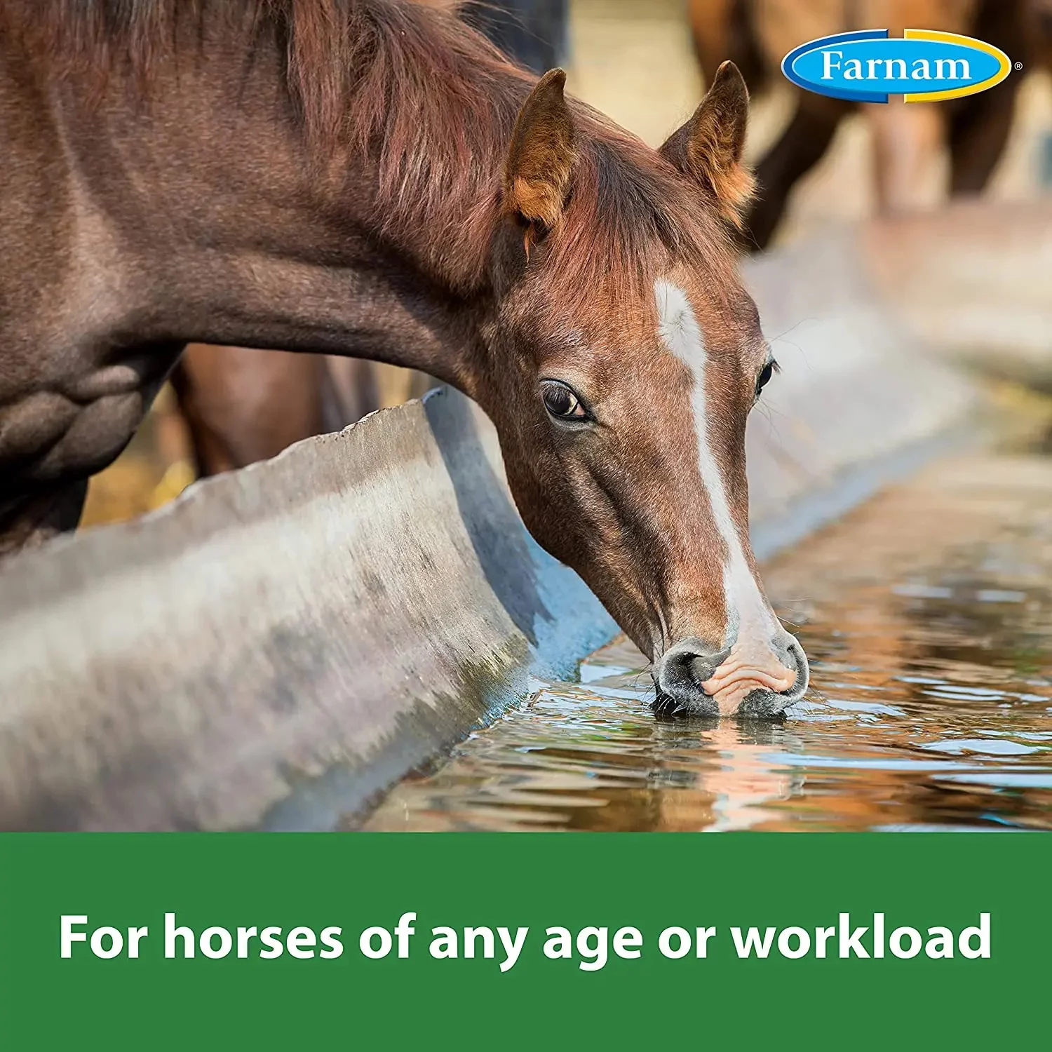 Farnam Apple Elite Electrolyte Pellets 7.5 Pounds, 40 Day Supply