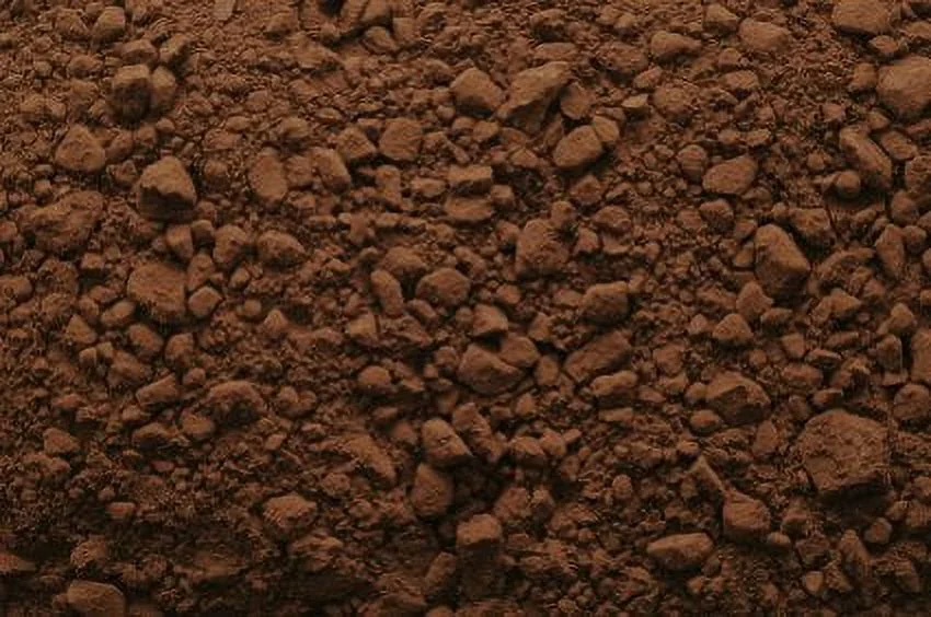 Rich Dark Large 16 Oz.