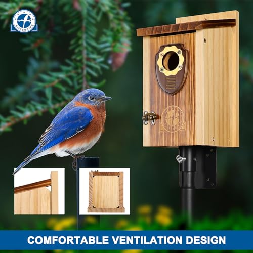 Bluebird Houses for Outside, Premium Bird Houses for Outside, Wooden Cabin Birdhouses for Outdoors, Weatherproof Courtyard Decorated Hanging Bird House, Nesting Bird House