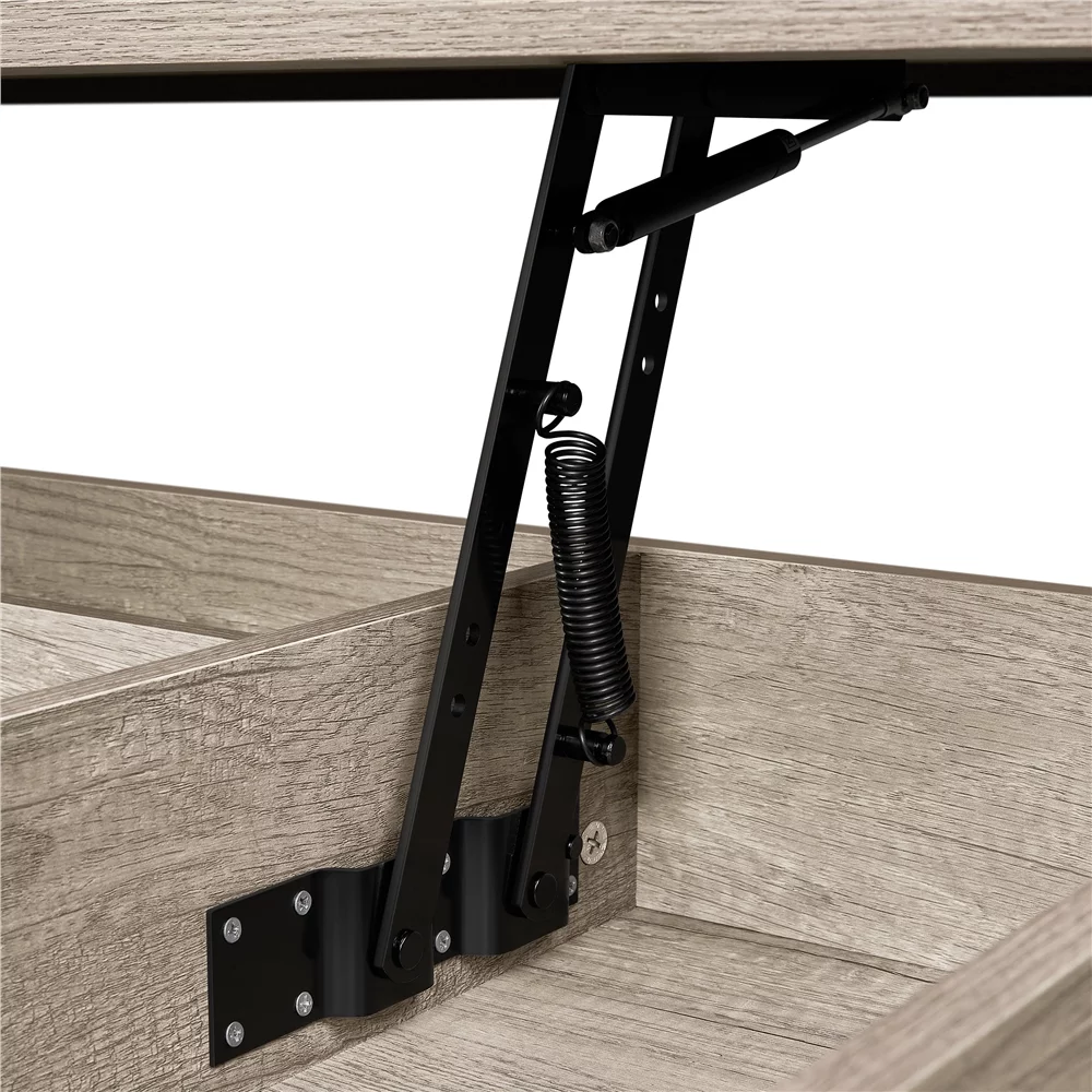 Easyfashion Modern Wood Lift Top Coffee Table Accent Table, Gray