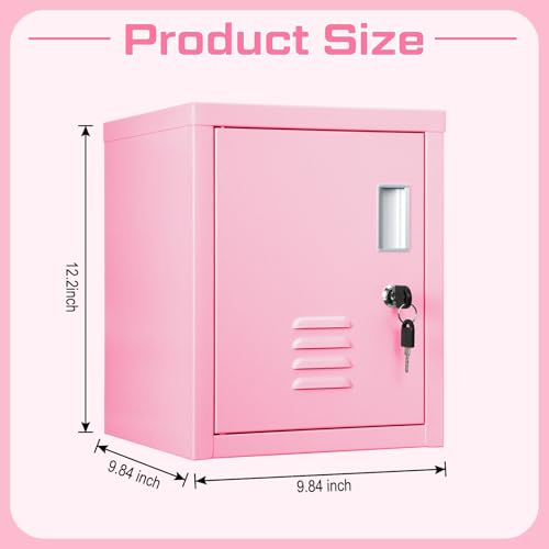 Suzile Lockable Storage Cabinet Metal Lockable Steel Storage Cabinet Organizer Lockers for Employees Vertical Metal Cabinets End Side Table Steel Bedside with Shelf(Black)