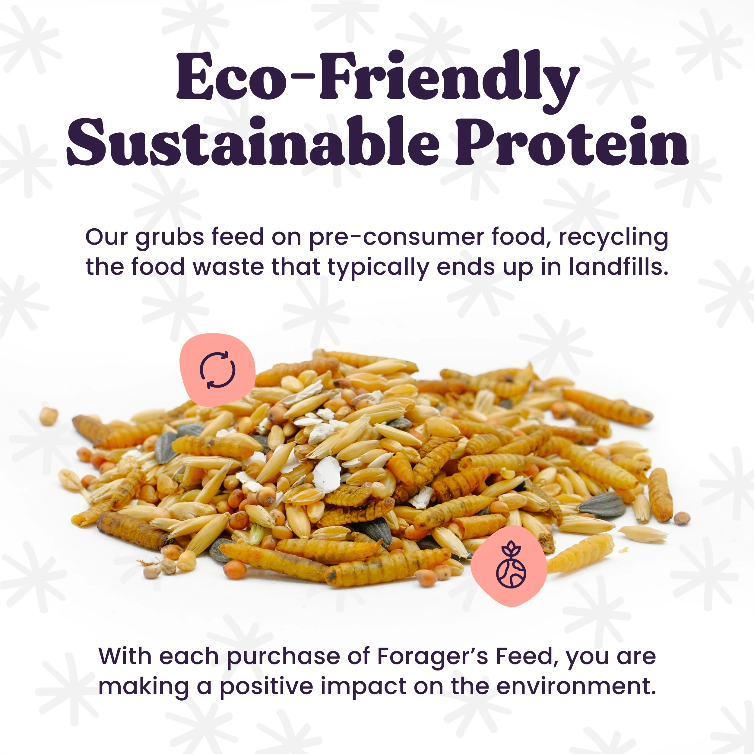 Herb Garden Chicken Treat - Black Soldier Fly Larvae with Herbs, Flowers & Seeds 2 Lbs.