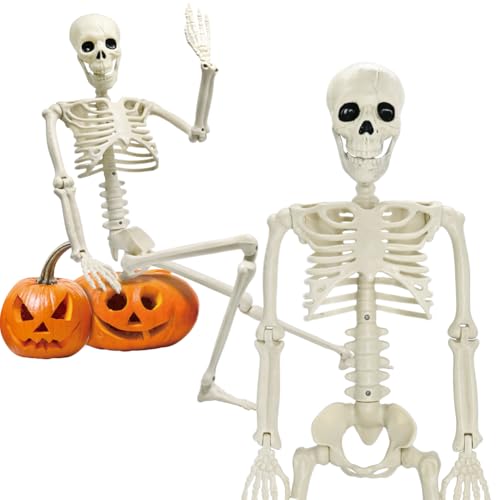 UMEELR 5.9FT Poseable Life Size Skeleton, Plastic Full Size Human Skeleton with Movable Joints for Halloween Garden Party Decoration