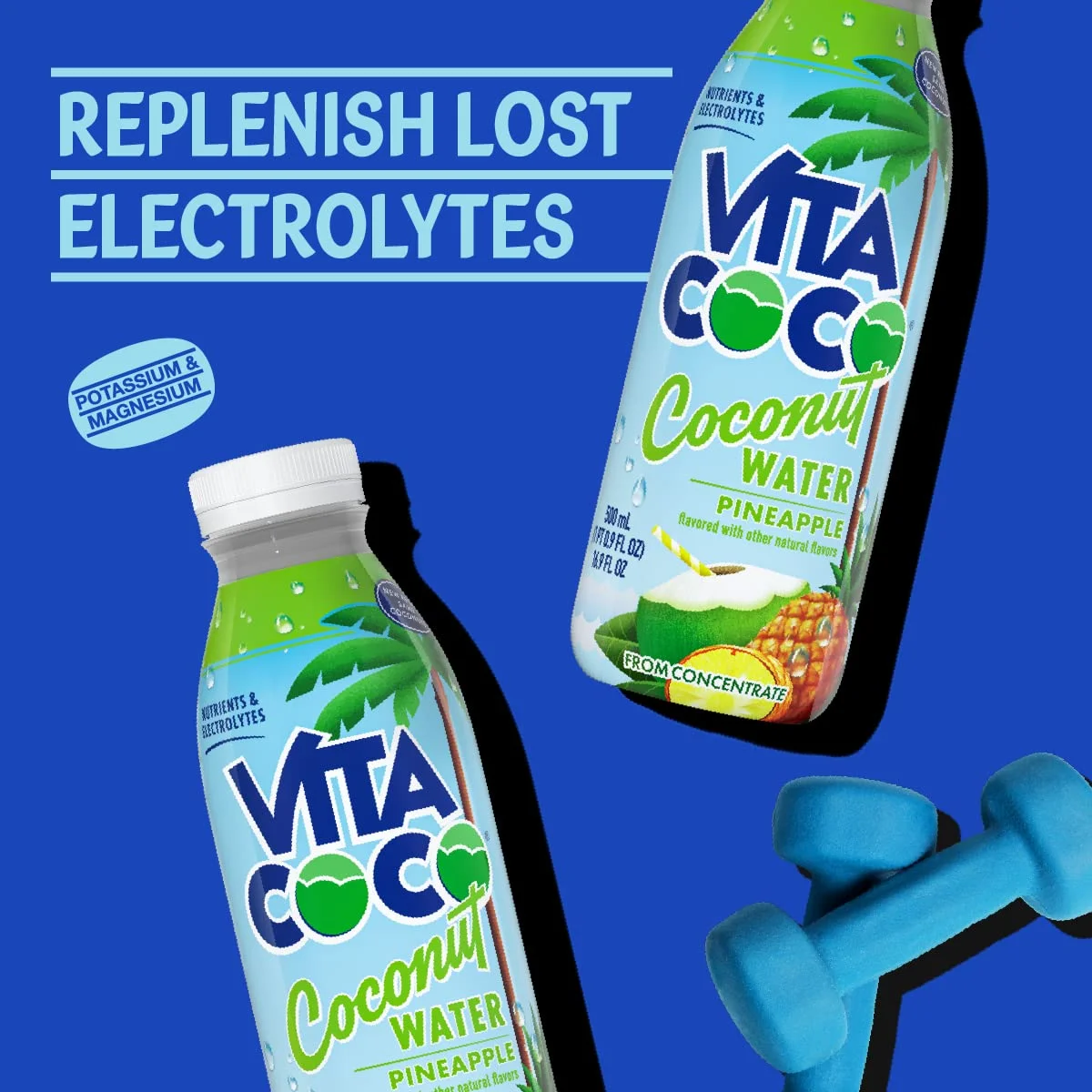 500ml Pineapple FC PET 12ct