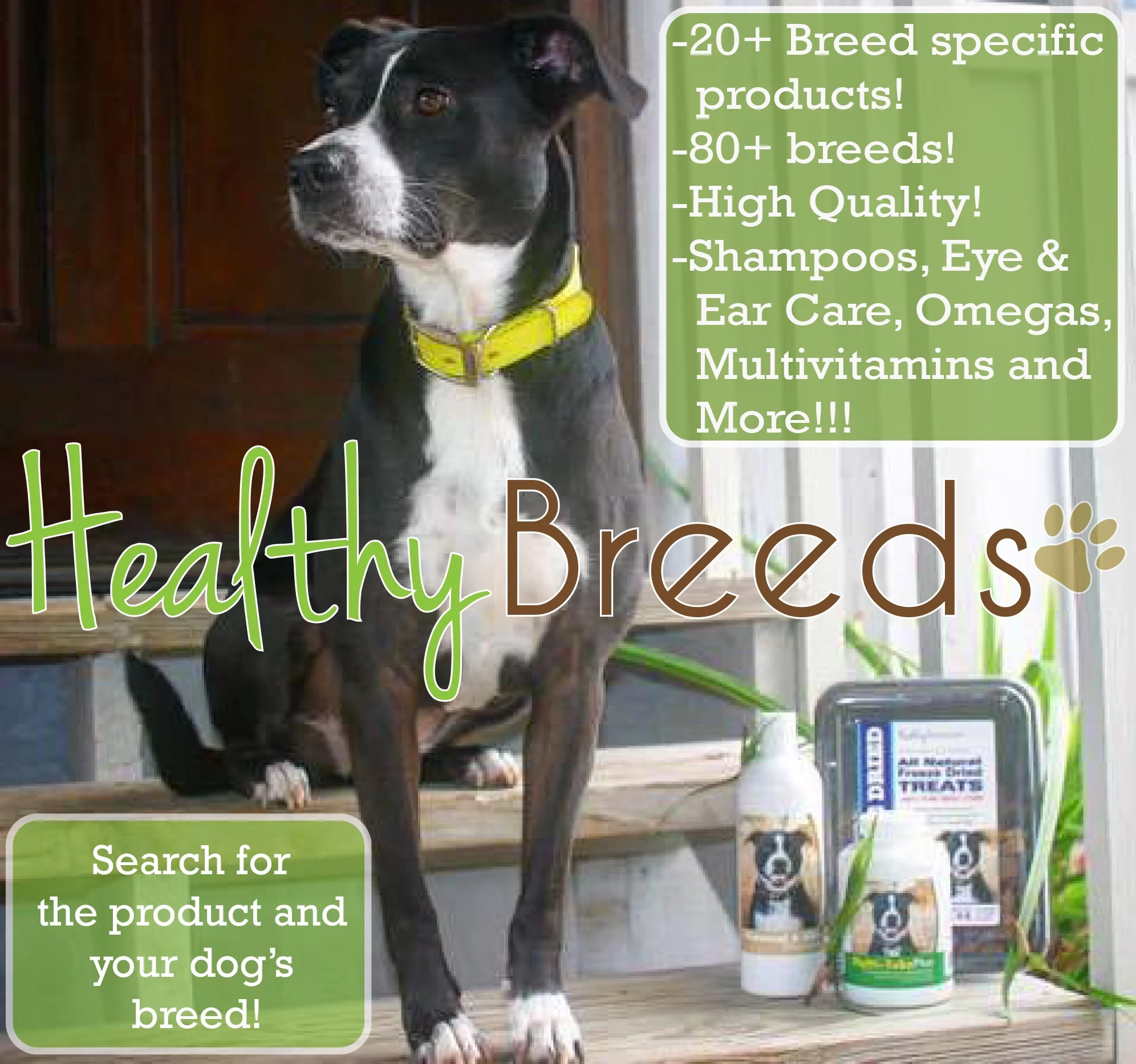 Healthy Breeds Great Dane Z-Flex Max Dog Hip & Joint Care Soft Chews 50 Count
