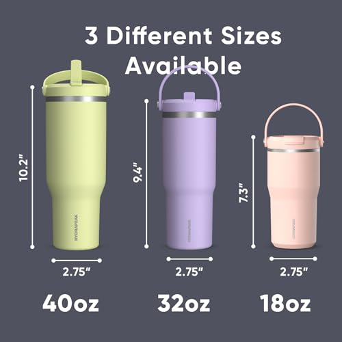 Hydrapeak Nomad 24 oz Tumbler with Handle and Straw Lid, Leakproof, Double Insulated, 24oz Cup Stainless Steel (Blush)