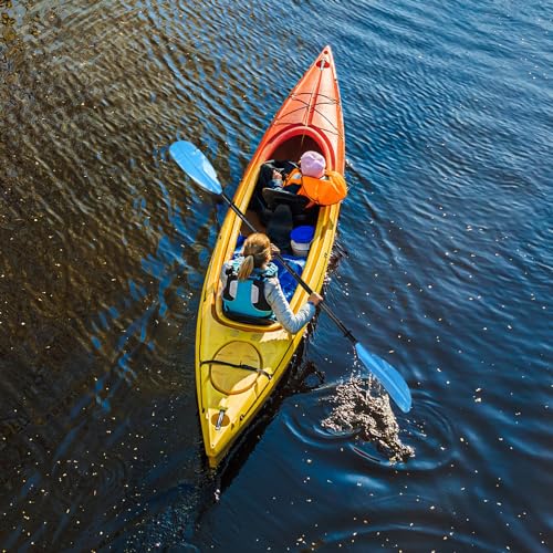 Adjustable Kayak Paddle Boat Oar: Kayak Canoe Paddles 90-98 inch/230-250cm - Aluminum Floating Kayaking Fishing Oars with Paddle Leash for Adults Youth