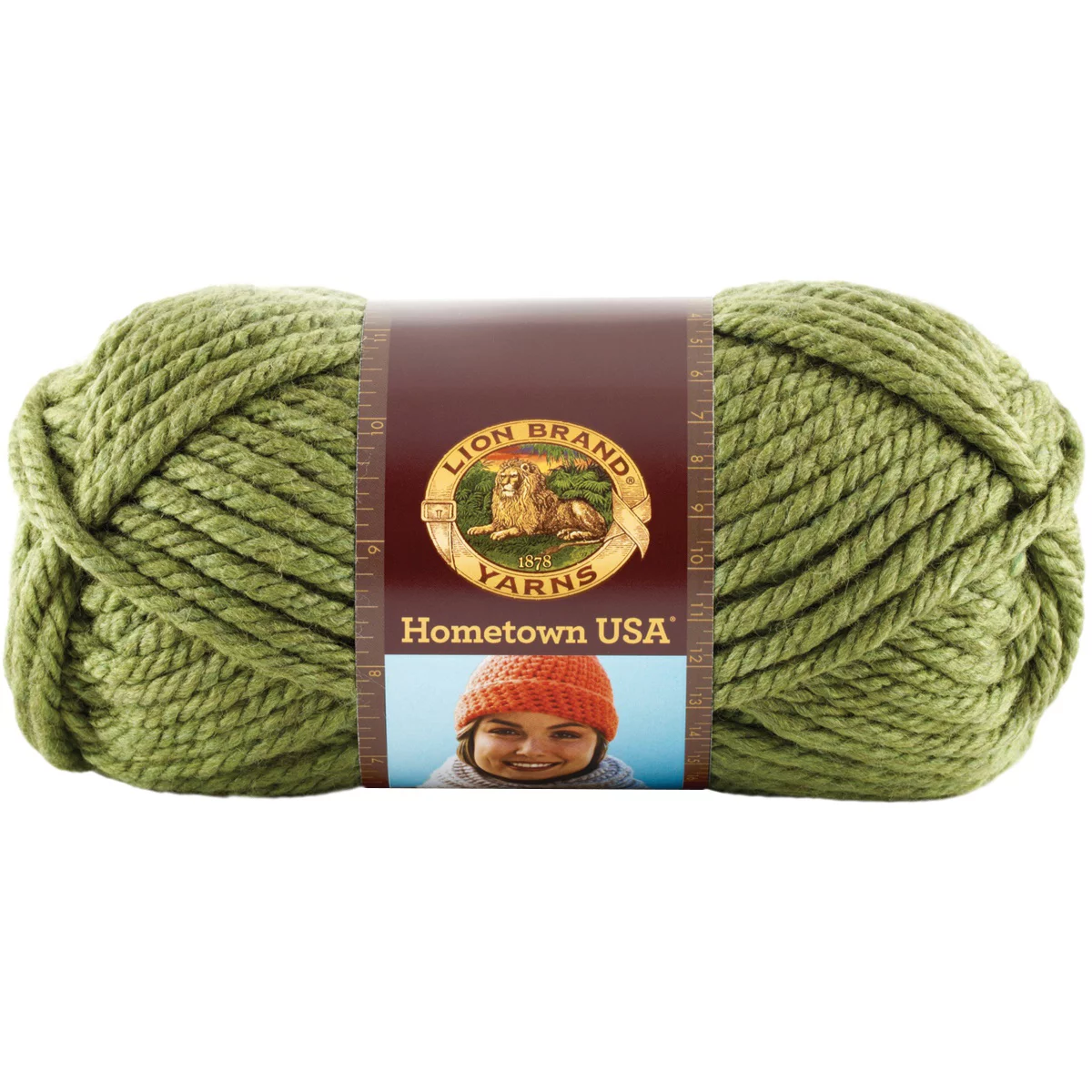 Lion Brand Hometown USA Yarn - Oklahoma City Green, Multipack of 6