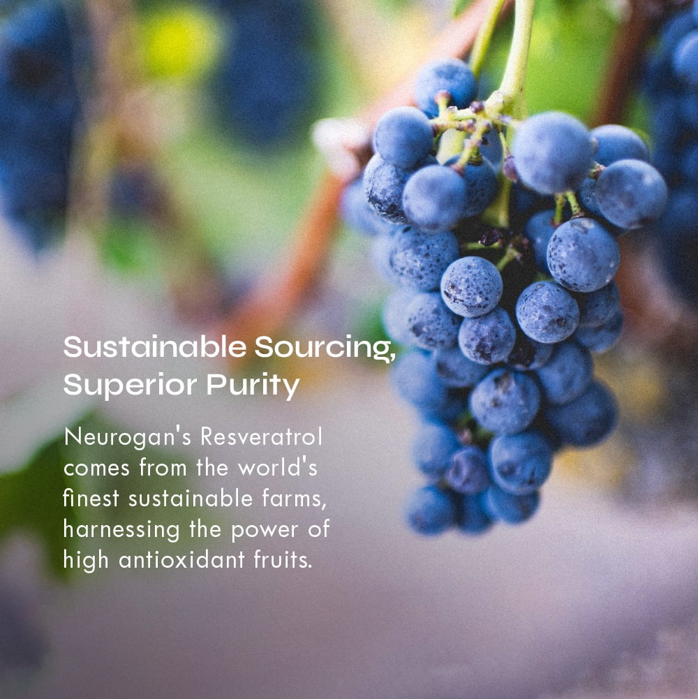 Neurogan Micronized Trans-Resveratrol Capsules, 63,000mg Total, 90ct Premium 700 MG Per Capsule - 45 Servings - Highly Purified, Optimized Bioavailability - Made in USA