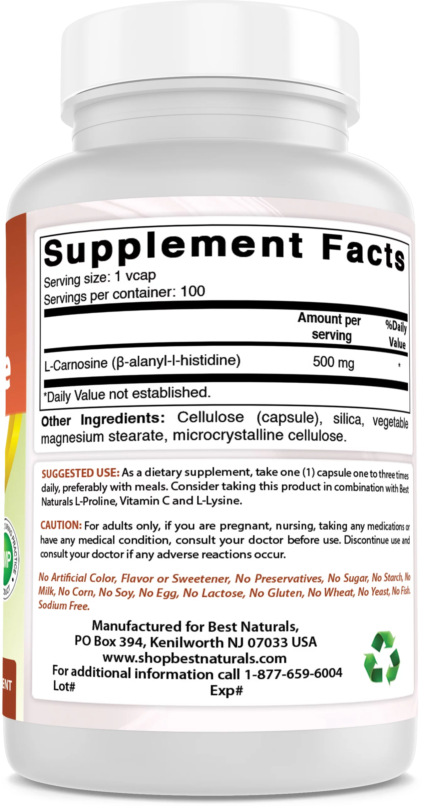 2 Pack Best Naturals L-Carnosine 500 mg 100 Vegetarian Capsules