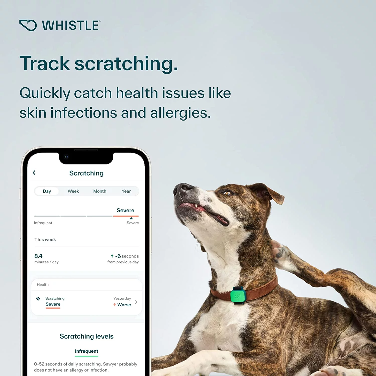 Whistle Health Smart Device | Dog Health and Fitness Tracker