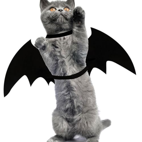 Halloween Pet Costume — Outfit for Small Dogs & Cats, Lightweight Felt & Polyester, Easy Adjustable Fit with Bell & Safety Pin, Unique Costume for Halloween, Parties & Photo Props (Spiders,XL)