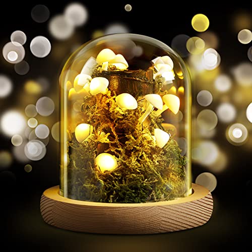 Hortsun 3.9 Inch Mushroom Night Light Glass Lamp Mushroom Cozy Lights Decor LED Light in Glass Dome with Base for Home Bedroom Decor Birthday Anniversaries Gifts