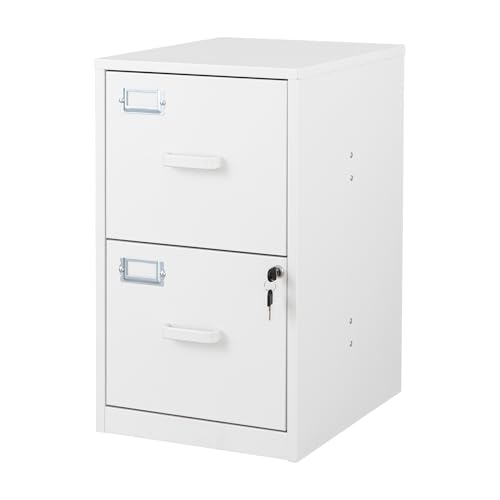 2 Drawer File Cabinet with Lock Vertical Filing Storage Cabinet Office Home Steel Vertical File Cabinets for Letter Size File Cabinet Locked,Assembly Required