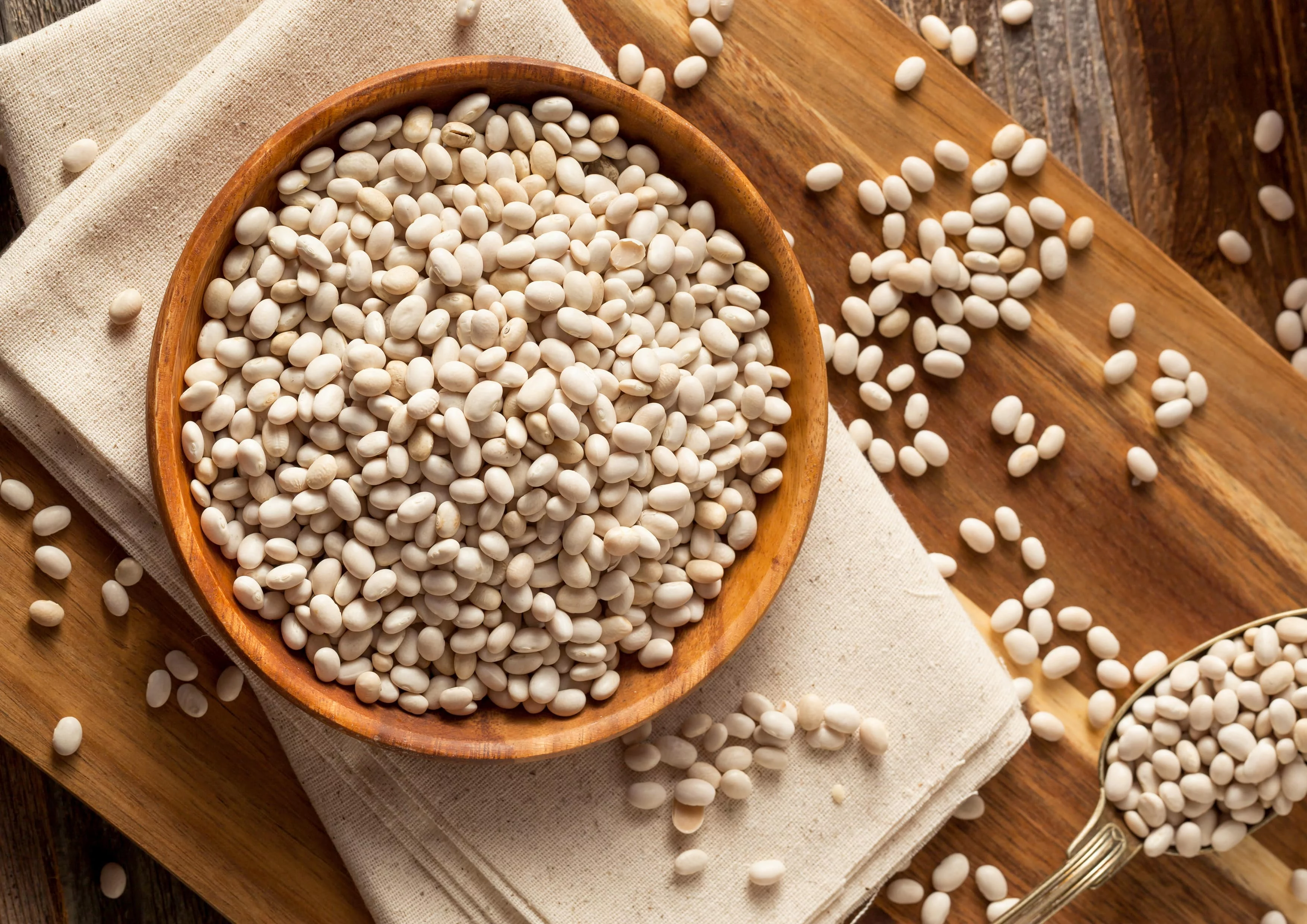 Navy Beans, 6 Pounds — Kosher, Raw, Vegan, Sproutable — by Food to Live