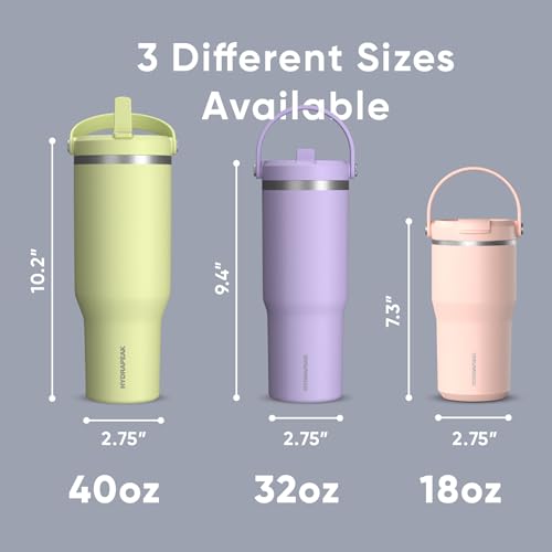 Hydrapeak Nomad 24 oz Tumbler with Handle and Straw Lid, Leakproof, Double Insulated, 24oz Cup Stainless Steel (Blush)