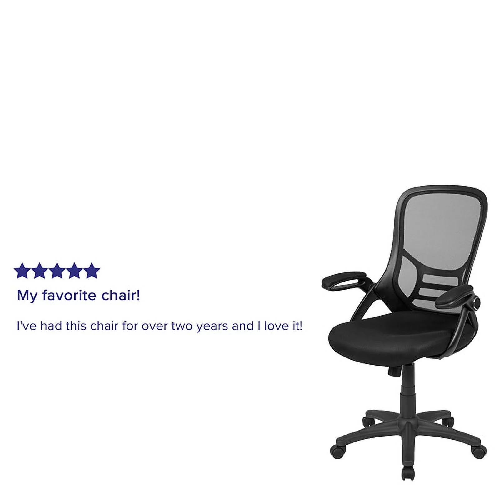 Flash Furniture High Back Black Mesh Ergonomic Swivel Office Chair with Black Frame and Flip-up Arms [HL-0016-1-BK-BK-GG]