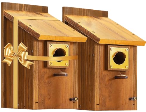 2pk Large Bluebird House for Outdoor - Extra High Size, with Perch, Mesh Base & Brass Guard - Cedar Birdhouse for Bluebirds, Finches, Swallows Carbonized Finished 5 Years Usage 6