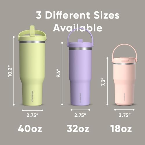 Hydrapeak Nomad 24 oz Tumbler with Handle and Straw Lid, Leakproof, Double Insulated, 24oz Cup Stainless Steel (Blush)